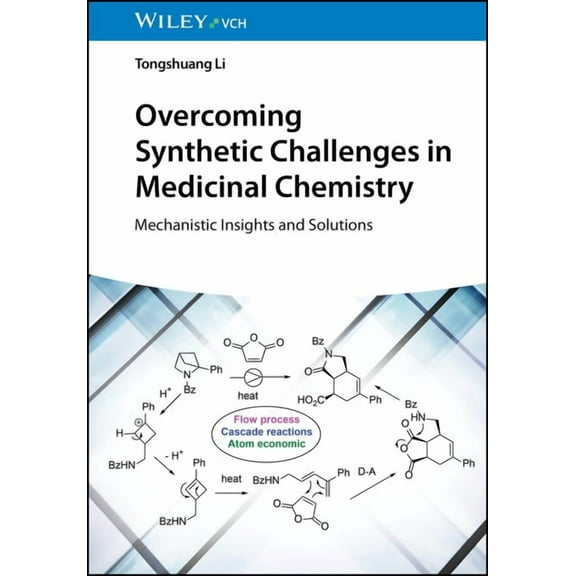 Overcoming Synthetic Challenges in Medicinal Chemistry, (Paperback)