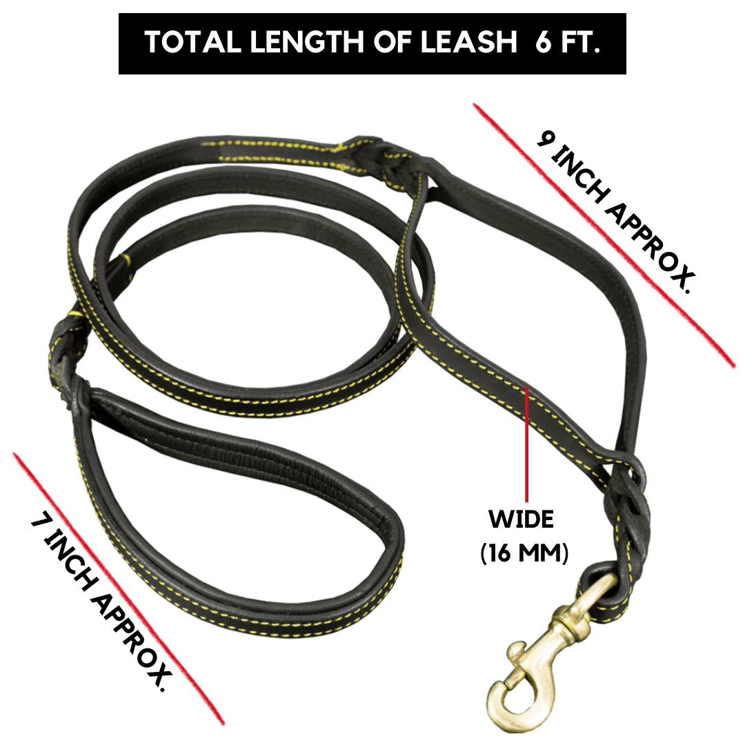 6 FT. Genuine Leather Dog Leash, 2 Handles, Extra Long Leash, Easy Control Black Leash