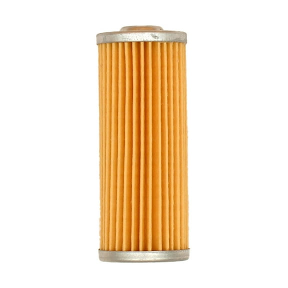 Fuel Filter Fits Mahindra Replaces 119810-55650