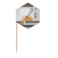 thumbnail image 1 of Animal Fat Garfield Cat Photograph Toothpick Flags Cupcake Picks Party Celebration, 1 of 3