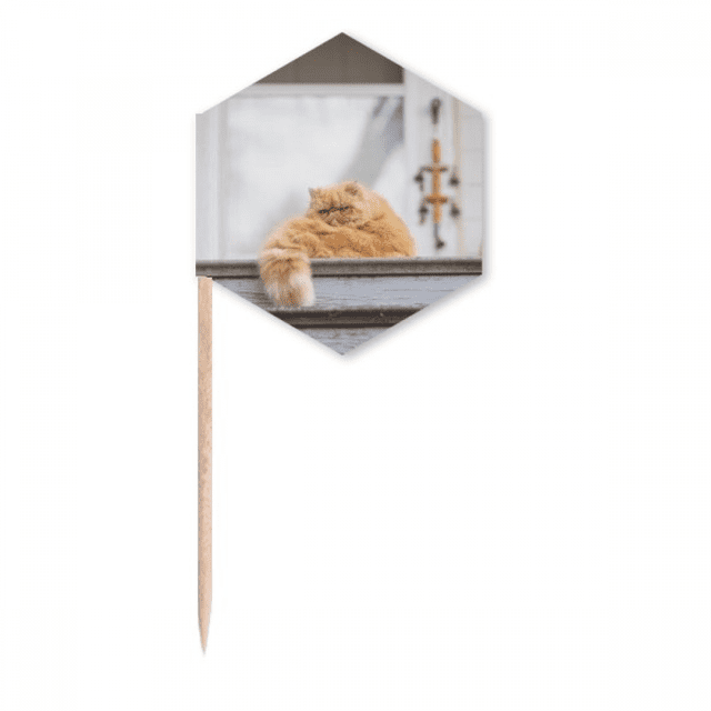 Animal Fat Garfield Cat Photograph Toothpick Flags Cupcake Picks Party Celebration