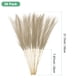 thumbnail image 3 of Uxcell 20 Paquete de Pasto de Pampas Falso 21.7" para Decoración del Hogar Boda Marrón, 3 of 6