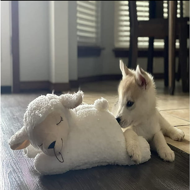 Heartbeat lamb for best sale puppies