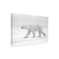 thumbnail image 4 of Trademark Fine Art Marco Pozzi Just White Canvas Wall Art, 4 of 4