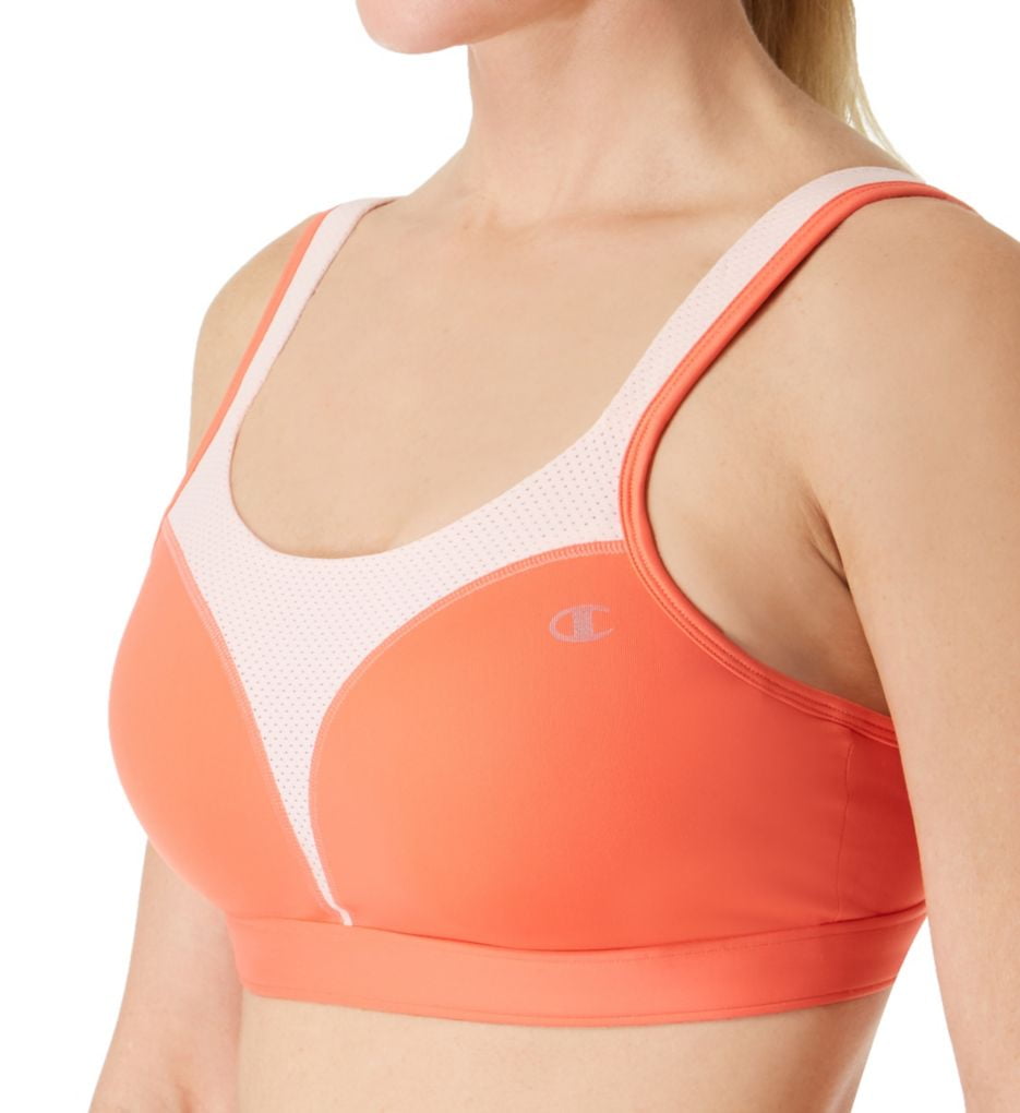 champion spot comfort bra