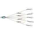 thumbnail image 1 of 5 Arms Fishing Rig Alabama Rig Head Fishing Trip 18g Weight 22cm Length Fast Spinner Feature Big Fish Catching, 1 of 10