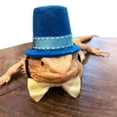 thumbnail image 2 of Sorrowso Bearded Dragon Leash and Harness Reptile Walking Leashes 3 Sizes with Hat Bowtie, 2 of 11