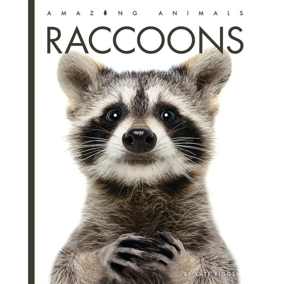 Amazing Animals Raccoons, (Paperback)