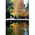 thumbnail image 2 of Tammy Putman 11x14 White Modern Wood Framed Wall Art Titled - Fall Colors, 2 of 5