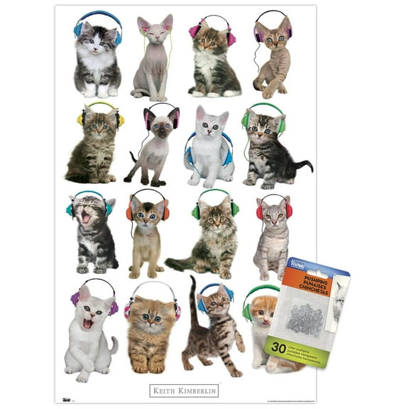 Keith Kimberlin - Kittens - Headphones Wall Poster with Push Pins, 14.725" x 22.375"