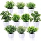 thumbnail image 3 of 1 paquete de pequeñas plantas en maceta falsas, Mini plantas de escritorio artificiales para interior, casa de campo, mesa de oficina, estante, decoración de baño, 3 of 5
