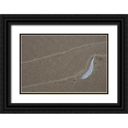 Carlson, Mark 18x13 Black Ornate Wood Framed with Double Matting Museum Art Print Titled - MI, Gull feather and wave lines on Lake Michigan