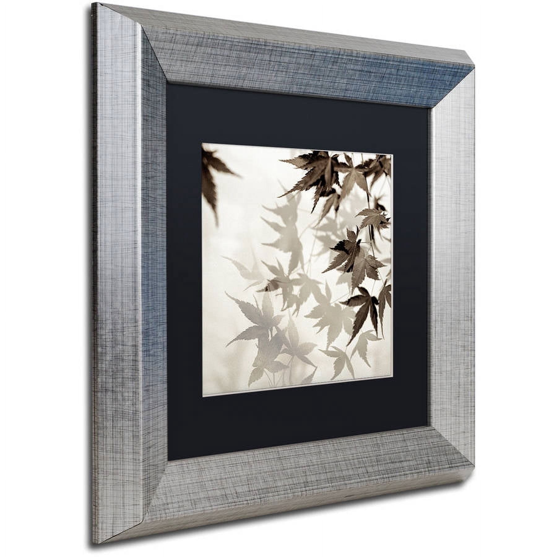 Trademark Fine Art "Florison 57" Canvas Art by Alan Blaustein, Black Matte, Silver Frame