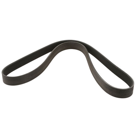 Multi Rib Belt - Compatible with 2012 - 2015 BMW 335i Sedan 2013 2014