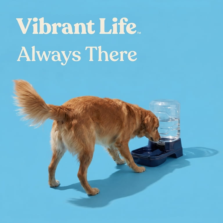 Vibrant Life Gravity Waterer for Large Dogs and Cats, 2.5 Gal photo 4