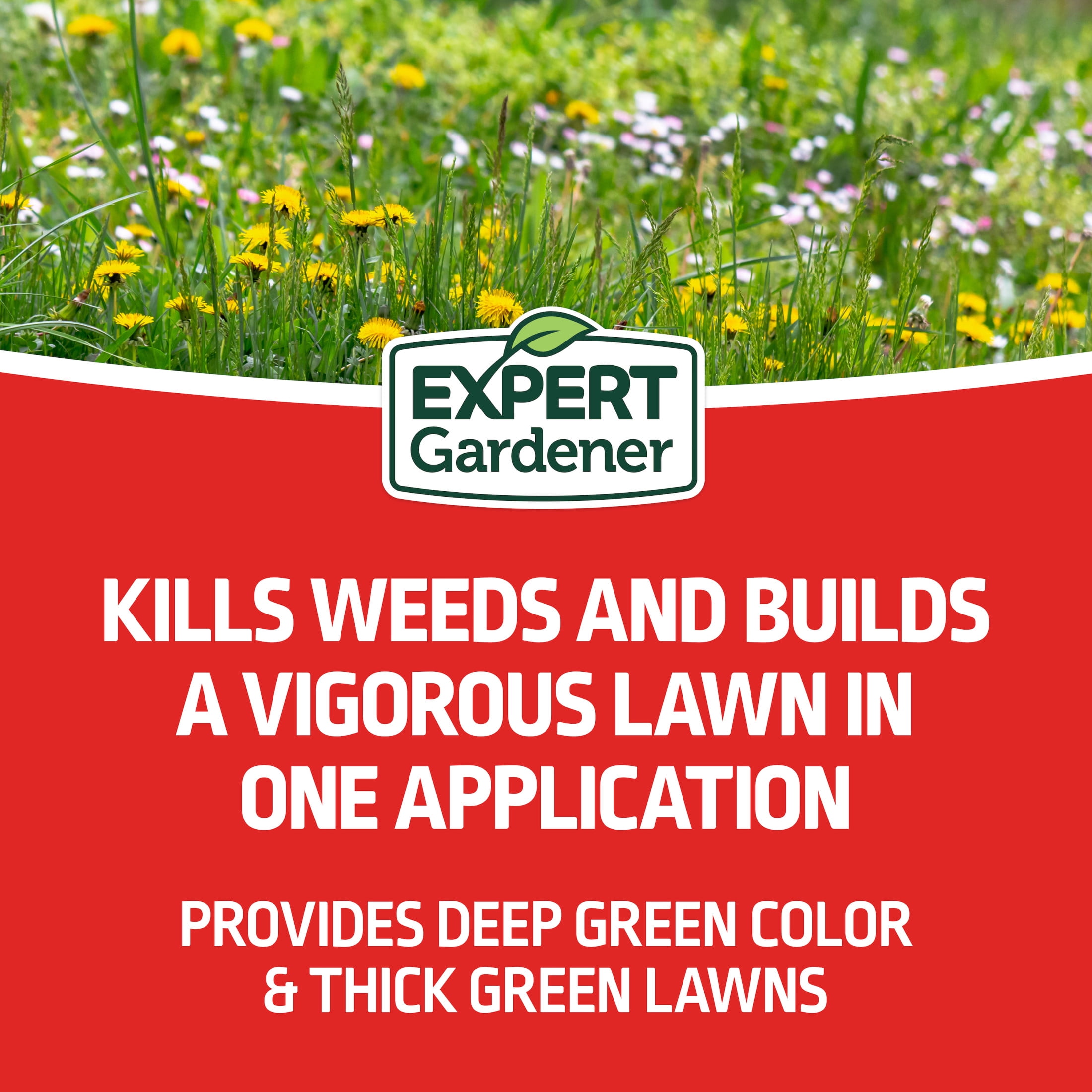 Expert Gardener Texas Turf Weed & Feed Lawn Fertilizer, 32.2 lb - Covers 5,300 Sq. ft.
