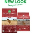 Ancient Grains Dry Dog Food, Humanely Raised Meat Recipe with Wholesome