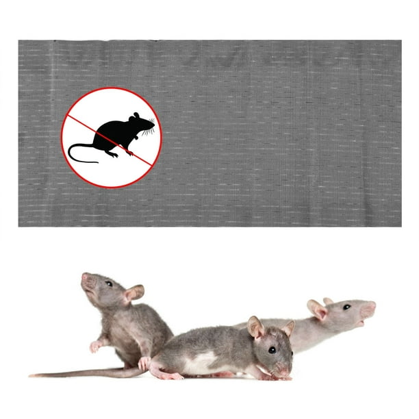 ShenMo 5pcs Sticky Mouse Board Rat Attraper Autocollant Sticky Rat  Autocollant Sticky Mouse Autocollant Ménage Rat Attraper Outil Souris Clip  Sticky Rat Autocollant 