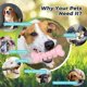 thumbnail image 5 of Juguetes duraderos para perros, juguetes para masticar cepillos de dientes para cachorros, juguetes para limpieza de dientes de perros, estilo 2 Kuyhfg Bienvenido a Kuyhfg, 5 of 5
