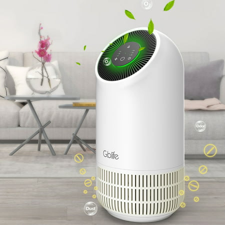 GBlife Air Purifier for Home Smokers Allergies and Pets Hair, True HEPA Filter, Quiet in Bedroom, Filtration System Cleaner Eliminators, Odor Smoke Dust Mold, Night (Best Air Purifier For Pet Hair)