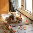 thumbnail image 6 of 3PCS Rainbow Cat Toy Balls Interactive Soft EVA Foam Pet Exercise Toys for Indoor Play and Chasing Lightweight Fetch Balls for Cats and Small Breed Dogs - A,Size S, 6 of 6