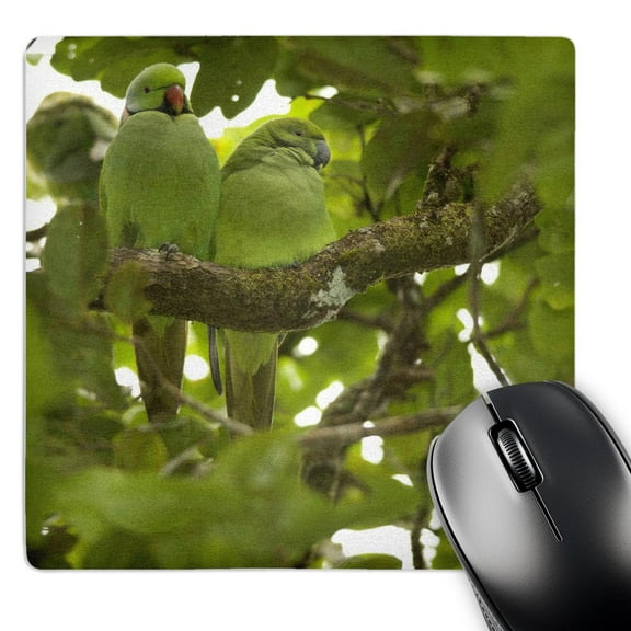 3dRose, Mauritius, Black River Gorges, Parakeet tropical bird-AF28 PSK0031 - Peter Skinner, MousePad