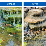CrystalClear Algae D-Solv EPA-Registered Pond Algaecide, 16 Ounce