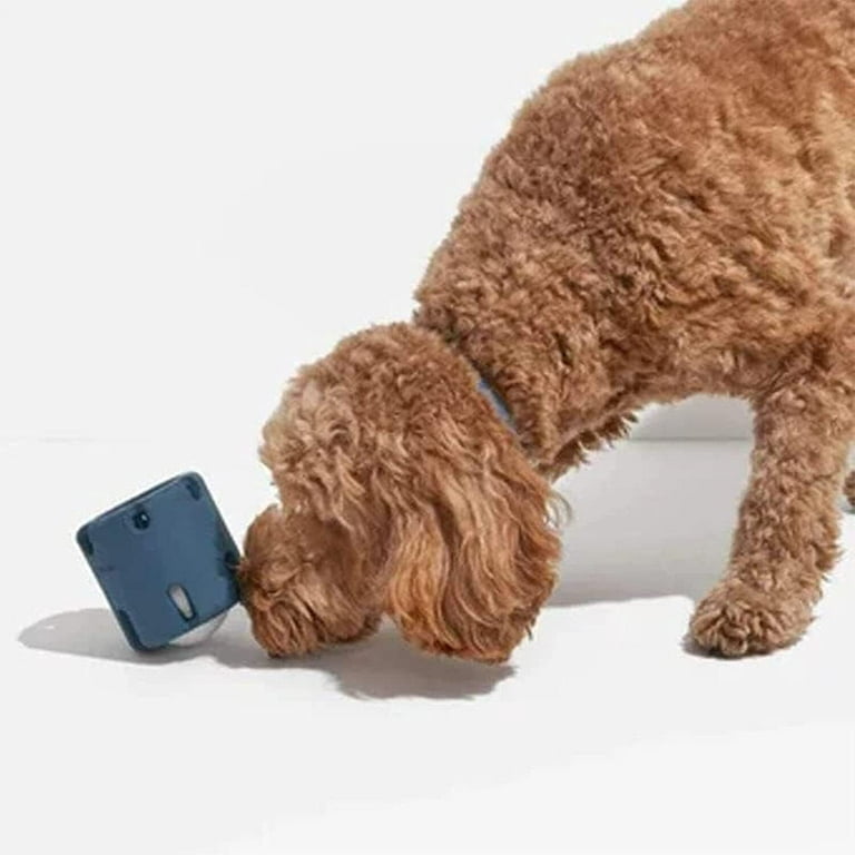 Tennis Tumble Dog Toy Bite-resistant Dog Puzzle Toys Natural