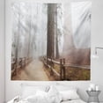 thumbnail image 1 of Nature Tapestry, Evergreen Forest and Walkway in Sequoia National Park Foggy Morning Nature Art, Fabric Wall Hanging Decor for Bedroom Living Room Dorm, 5 Sizes, Grey Brown, by Ambesonne, 1 of 1