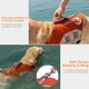 thumbnail image 5 of Chaleco salvavidas para perros Thinkpet Floa salvavidas reflectante, 5 of 5