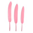 thumbnail image 3 of 50Pc Feather Small Straight Knife Colored Feather Kindergarten Diy, 3 of 8