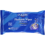 Equate Flushable Wipes 42ct