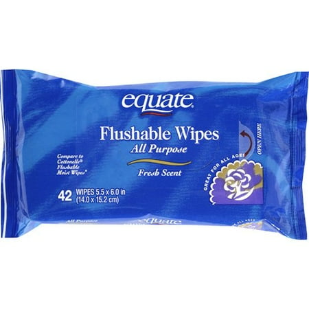 Equate Flushable Wipes 42ct