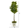 thumbnail image 2 of 67" Rubber Leaf Artificial Tree in Planter (Real Touch), 2 of 2