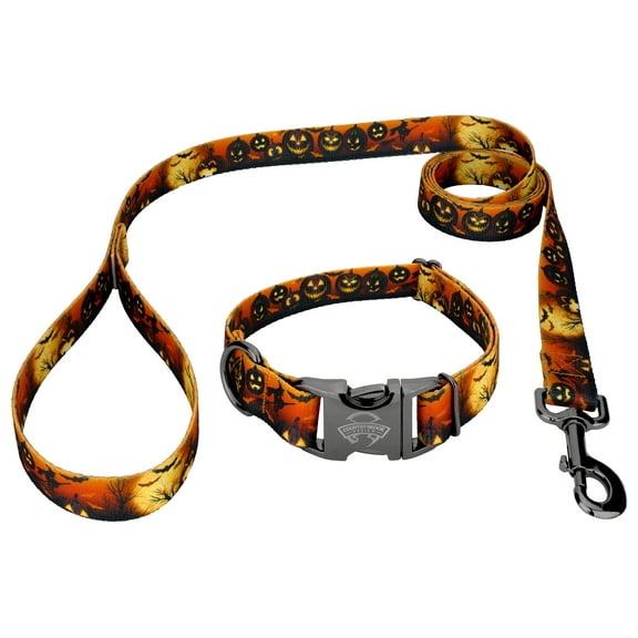 Country Brook Petz® Premium Gunmetal Midnight Fright Dog Collar and Leash, Large