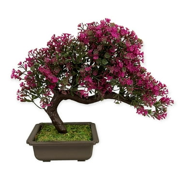 Pixies Gardens Artificial : Sideways Bonsai in Purple Color