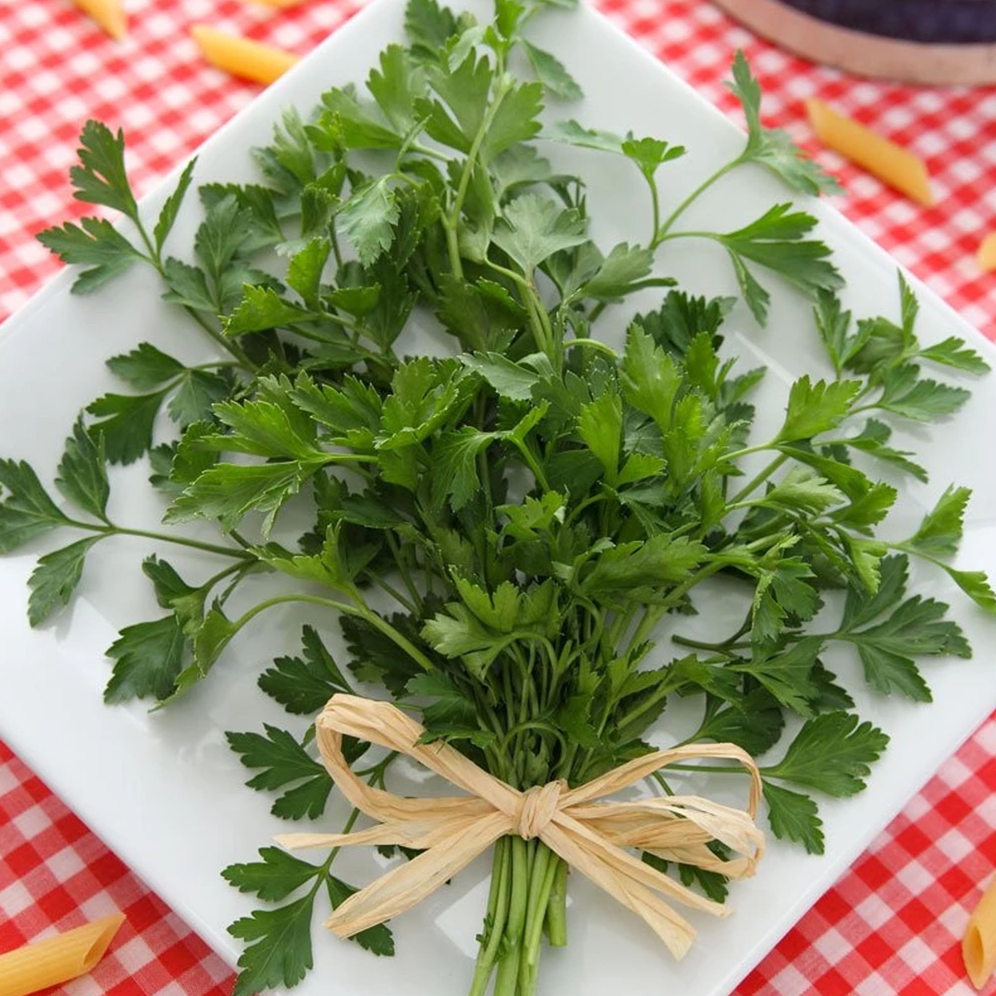 Parsley, Giant Dark Green Italian 2 g 600 Seeds Heirloom, Open