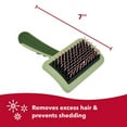 thumbnail image 3 of Coastal Pet Safari Complete Dog Brush - 2-in-1 Design Dog Slicker Brush with Grooming Bristles - Detangling & Dematting Dog Brush - One Size, 3 of 6