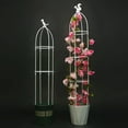 thumbnail image 3 of 1Set Flowers Plants Climbing Support Frame Trellis DIY Vines Pot Plant Stand Climbing Plant Trellis Garden Support Cages, 3 of 10