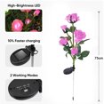 thumbnail image 3 of Luces solares de jardín al aire libre, paquete de 2 rosas, flores, luces decorativas para jardín, césped, Patio, pasarela navideña, 3 of 7