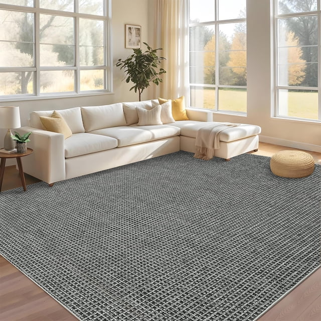 Area Rug Washable Rug,Non Slip Office Rugs Modern Indoor Carpet,Floor Mats for Dining Room ,Apart Dorm and hallway
