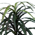 thumbnail image 2 of Vickerman 6.5' Marginata Deluxe, 2 of 5