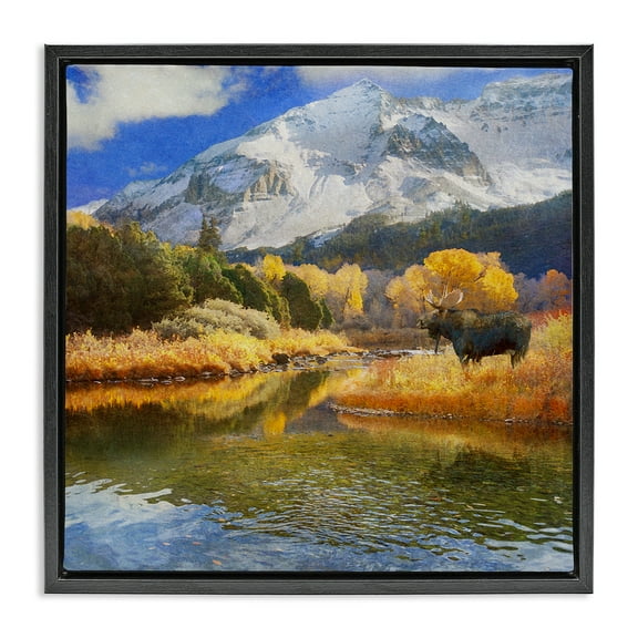Stupell Industries Moose on Dolores River Landscape & Nature Photography Black Floater Framed Canvas Art Print Wall Art, 18 x 18