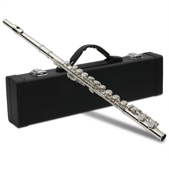 UBesGoo Student Silver Nickel 16 Hole C Flute with Case