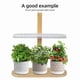 thumbnail image 3 of Small Tabletop Plant Light 10W 4 Brightness Adjustments Full Spectrum LED Plant Growth Lamp for Indoor Plants, 3 of 5