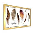 thumbnail image 2 of Designart 'Exotic Vibrant Boho Watercolor Feathers' Bohemian & Eclectic Framed Art Print, 2 of 4