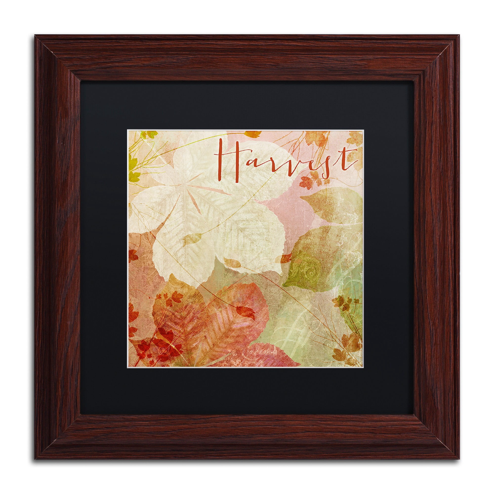 Trademark Fine Art "October Pastel II" Canvas Art by Color Bakery Black Matte, Wood Frame