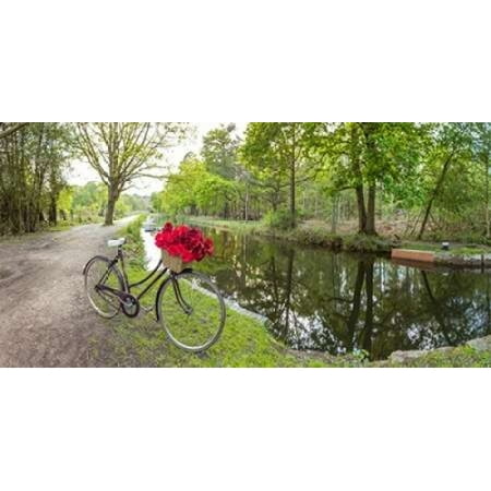 Bicycle with bunch of red roses by the canal Canvas Art - Assaf Frank (10 x