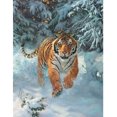 thumbnail image 1 of 3D LiveLife Pictures - Siberian Emperor Deluxebase 33916, 1 of 2