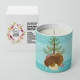 thumbnail image 2 of Carolines Treasures BB9357CDL 3.75 x 3.25 in. Unisex French Turkey Dindon Christmas 10 oz Decorative Soy Candle, Teal, 2 of 5